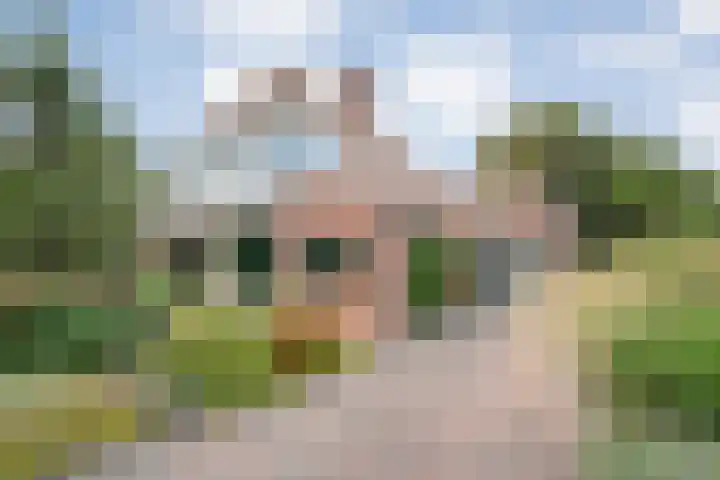 de Hilde 78 Raalte thumbnail 13