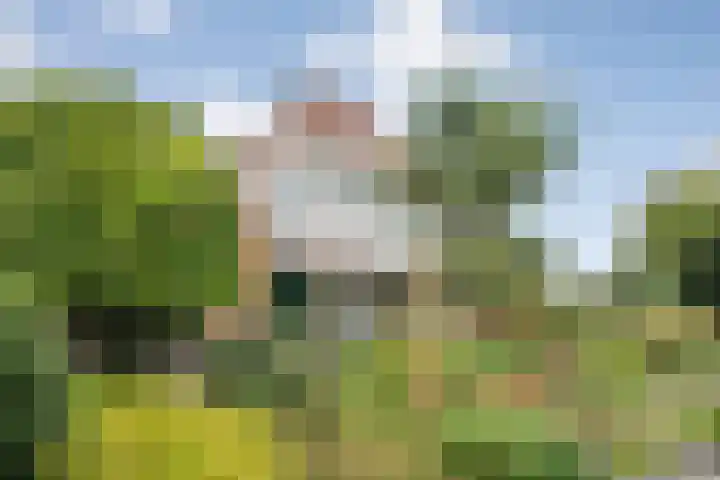 de Hilde 78 Raalte thumbnail 14