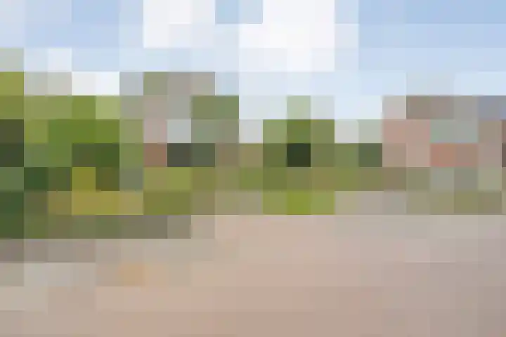 de Hilde 78 Raalte thumbnail 15