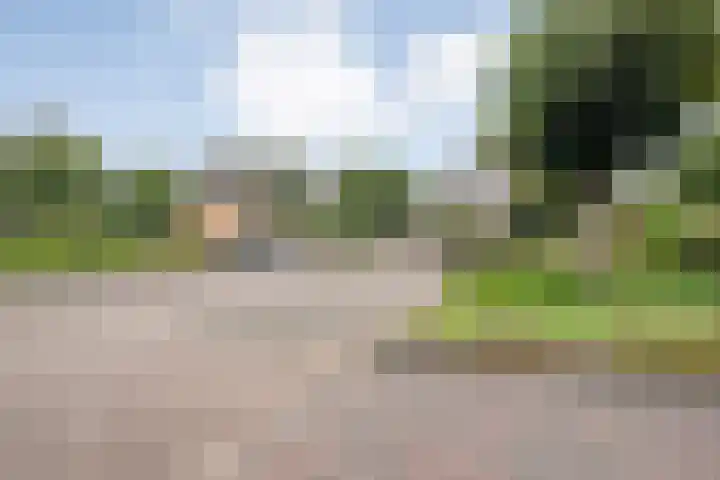 de Hilde 78 Raalte thumbnail 16