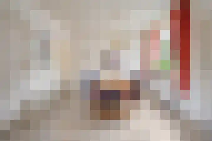 de Hilde 78 Raalte thumbnail 27