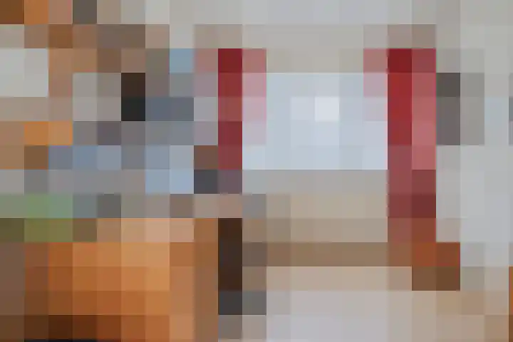 de Hilde 78 Raalte thumbnail 32