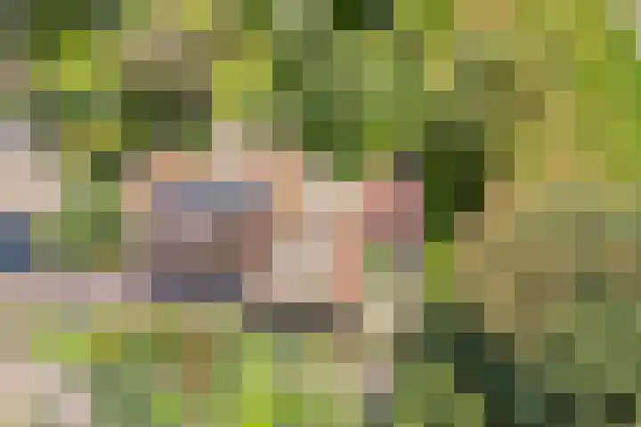 de Hilde 78 Raalte thumbnail 4