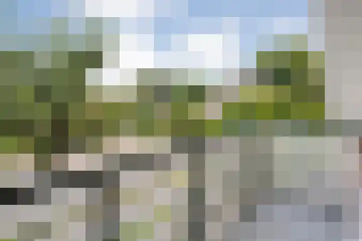 de Hilde 78 Raalte thumbnail 40