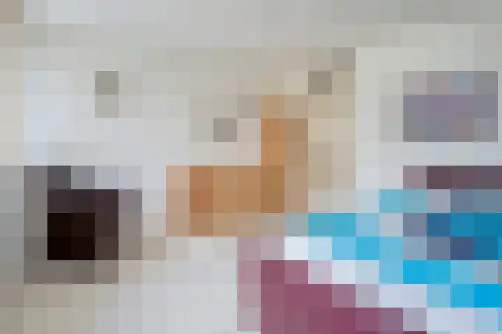 de Hilde 78 Raalte thumbnail 43