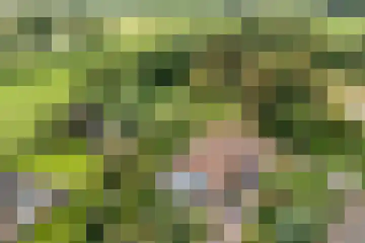 de Hilde 78 Raalte thumbnail 5