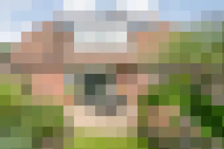 de Hilde 78 Raalte thumbnail 52