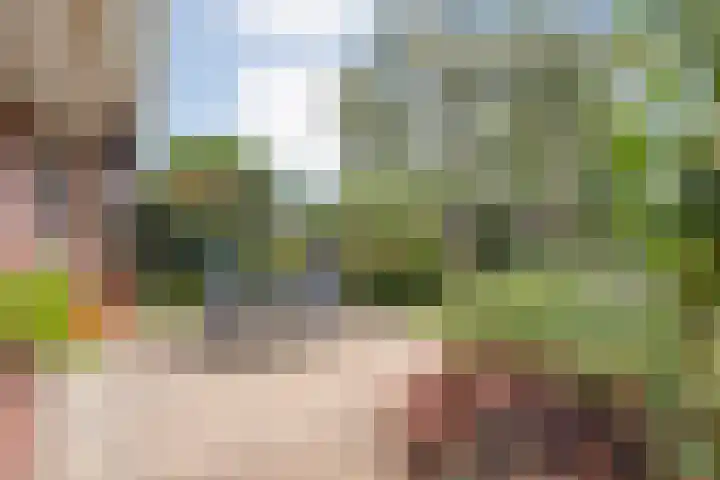 de Hilde 78 Raalte thumbnail 56
