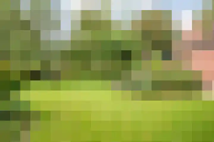 de Hilde 78 Raalte thumbnail 58