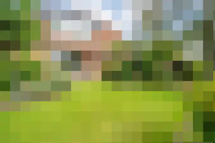 de Hilde 78 Raalte thumbnail 59