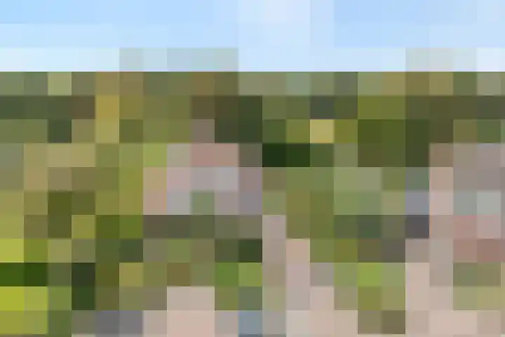 de Hilde 78 Raalte thumbnail 6