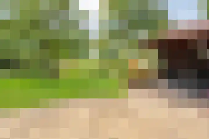 de Hilde 78 Raalte thumbnail 63