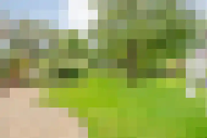 de Hilde 78 Raalte thumbnail 64