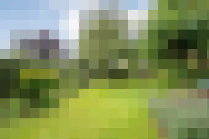 de Hilde 78 Raalte thumbnail 65