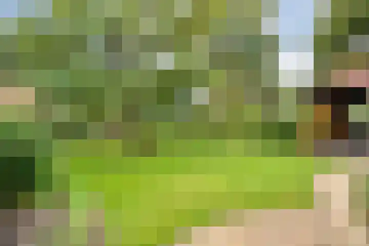 de Hilde 78 Raalte thumbnail 66