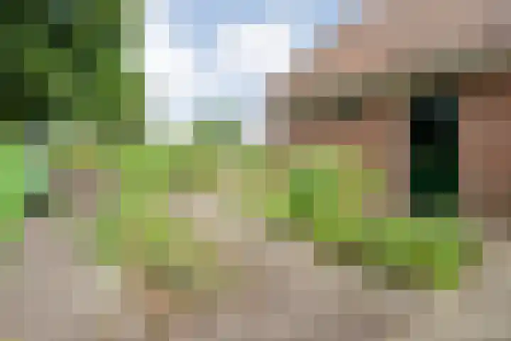 de Hilde 78 Raalte thumbnail 67