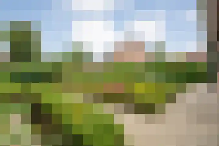 de Hilde 78 Raalte thumbnail 69