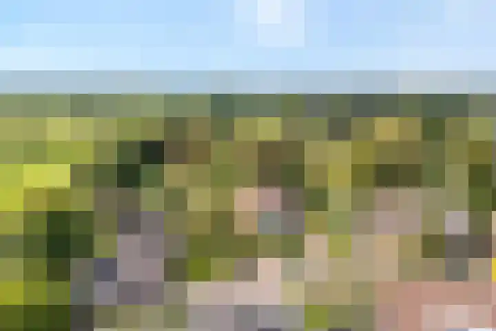 de Hilde 78 Raalte thumbnail 7