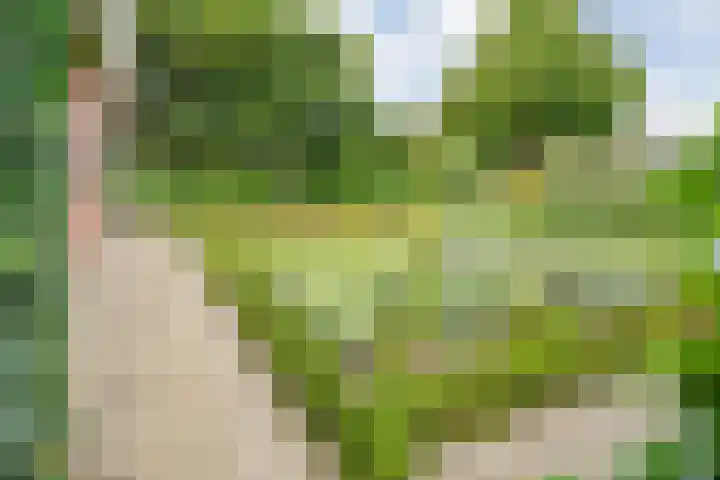 de Hilde 78 Raalte thumbnail 70