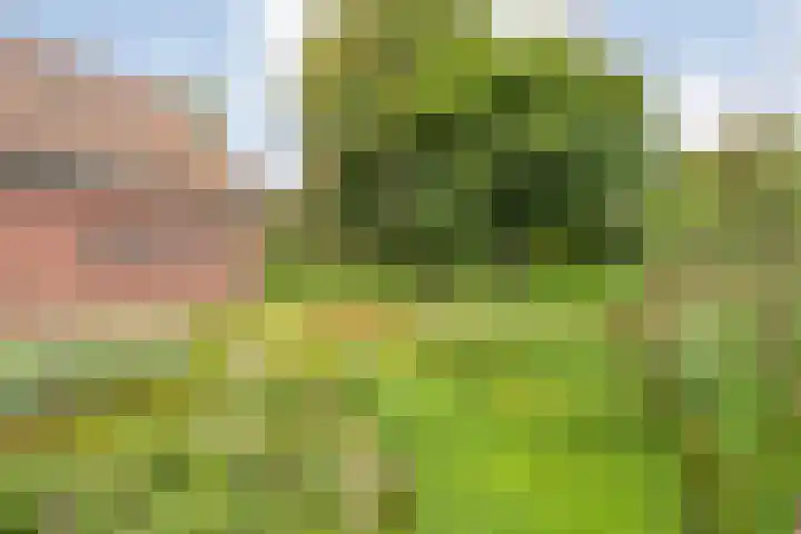 de Hilde 78 Raalte thumbnail 71