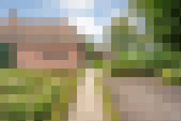 de Hilde 78 Raalte thumbnail 72