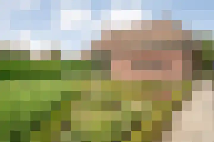 de Hilde 78 Raalte thumbnail 73