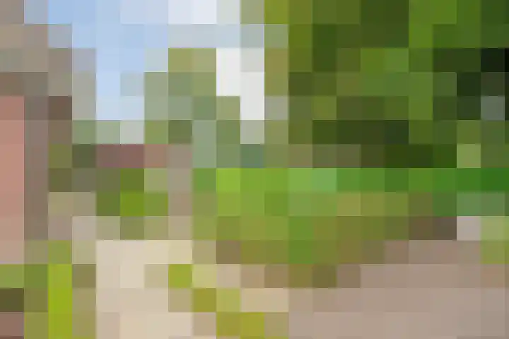 de Hilde 78 Raalte thumbnail 74
