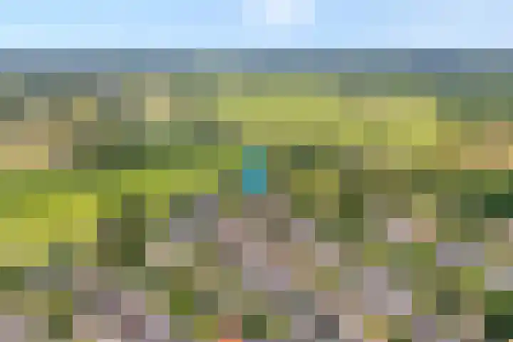 de Hilde 78 Raalte thumbnail 9