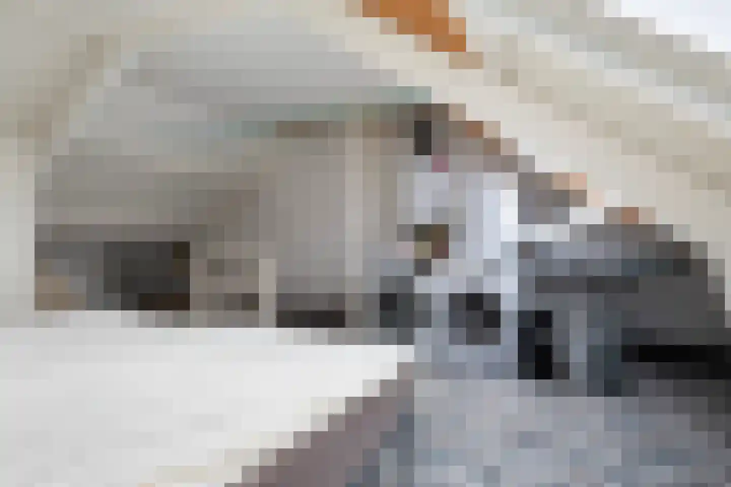 De Hillebrandink 9 Rijssen thumbnail 17