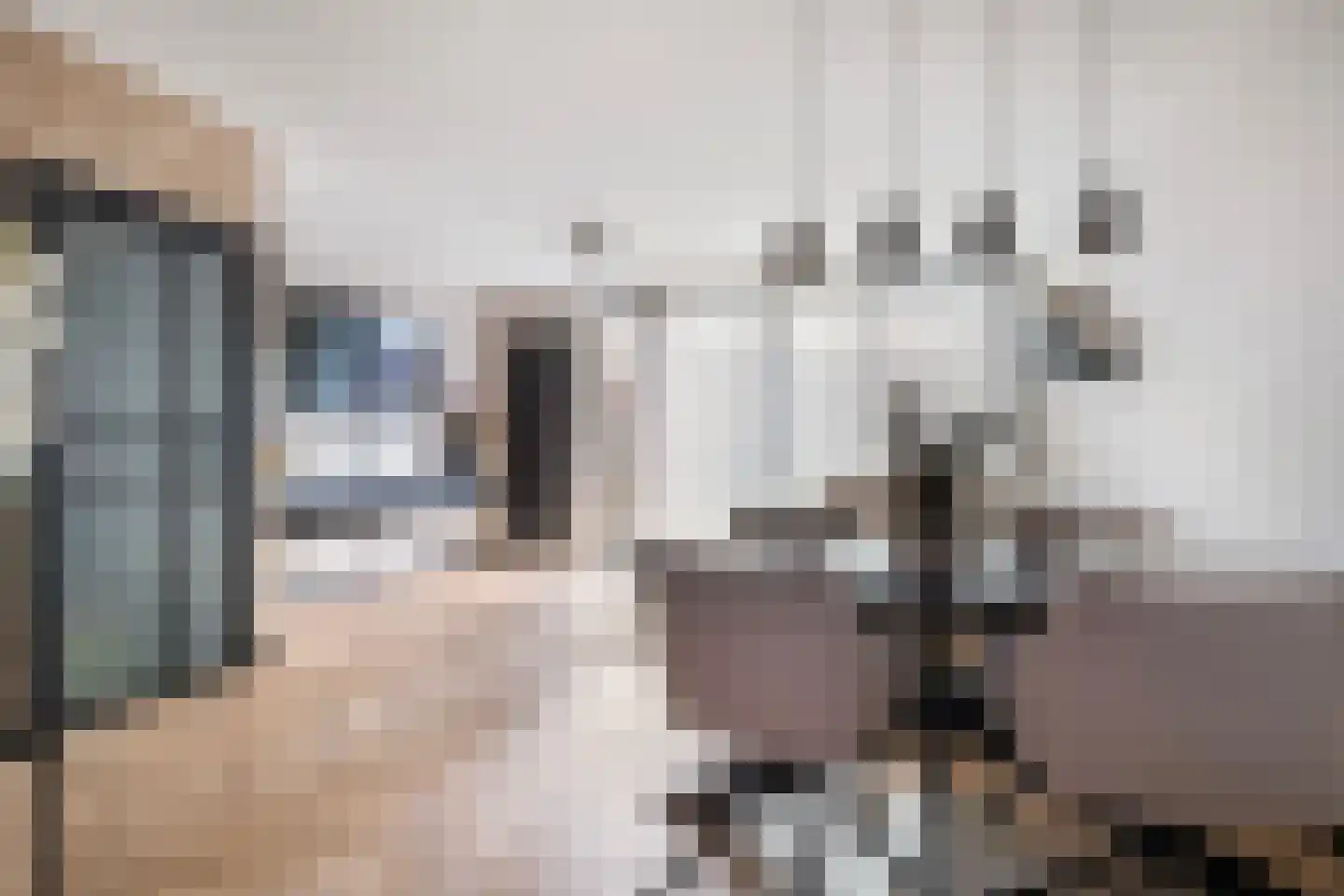 De Hillebrandink 9 Rijssen thumbnail 6