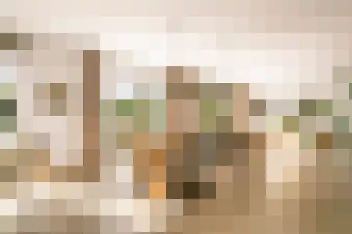 De Hilt 13 Abcoude thumbnail 14