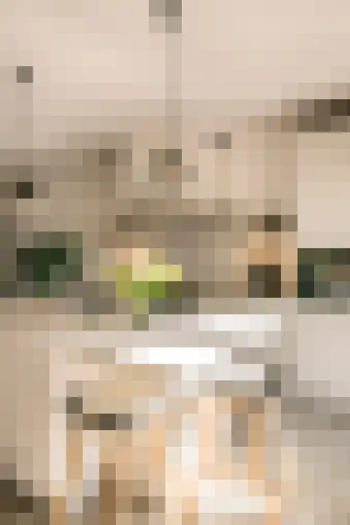 De Hilt 13 Abcoude thumbnail 15