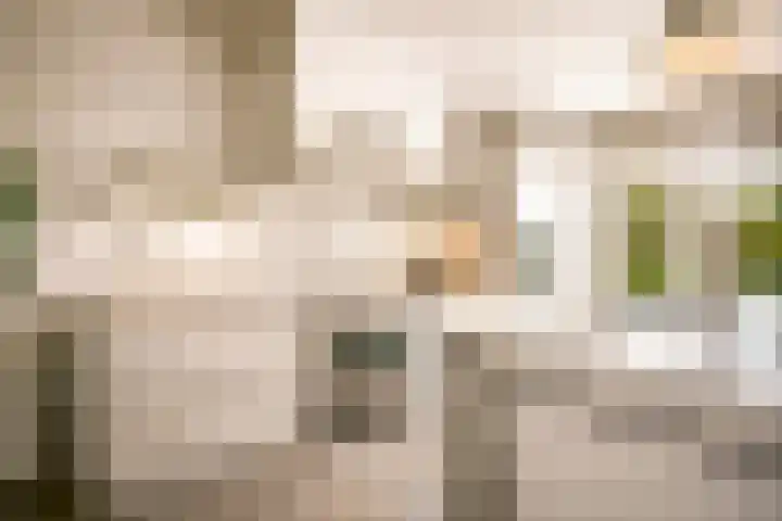 De Hilt 13 Abcoude thumbnail 16