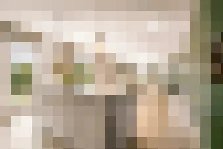 De Hilt 13 Abcoude thumbnail 18