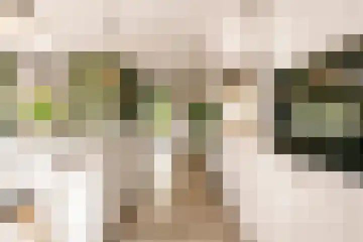 De Hilt 13 Abcoude thumbnail 19