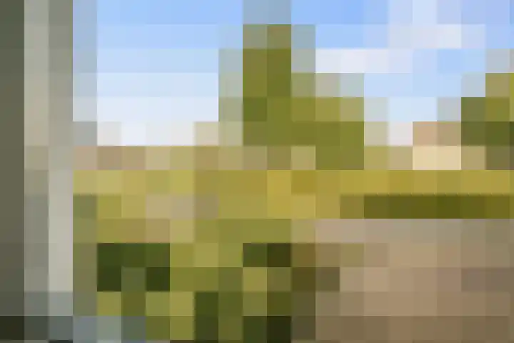 De Hilt 13 Abcoude thumbnail 22