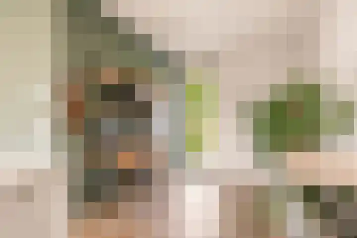 De Hilt 13 Abcoude thumbnail 24
