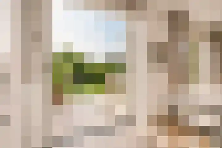 De Hilt 13 Abcoude thumbnail 25