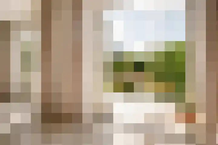 De Hilt 13 Abcoude thumbnail 26