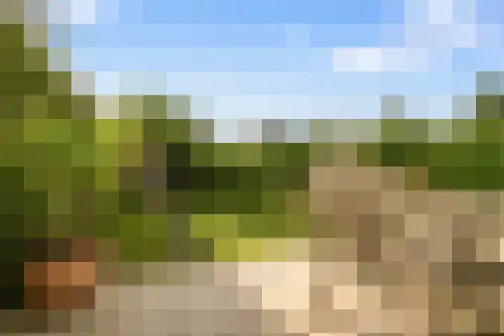 De Hilt 13 Abcoude thumbnail 27
