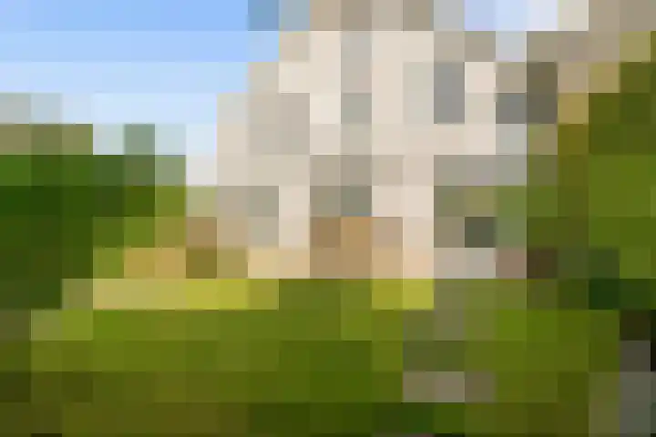 De Hilt 13 Abcoude thumbnail 28