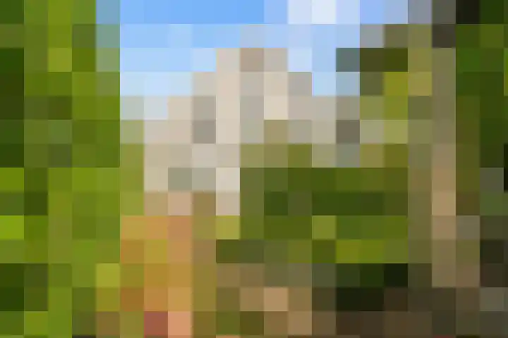 De Hilt 13 Abcoude thumbnail 29