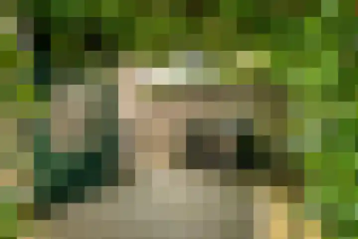 De Hilt 13 Abcoude thumbnail 30