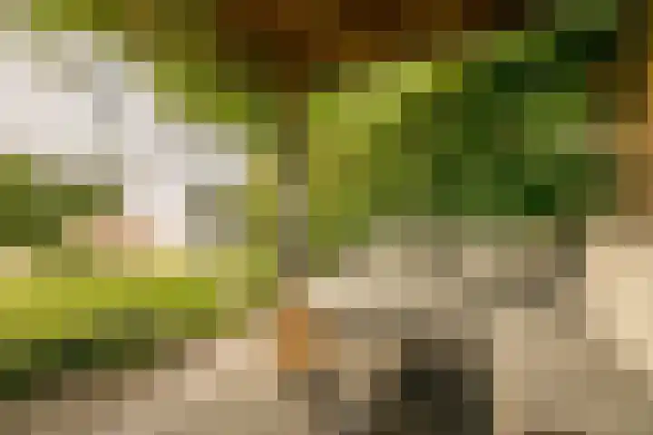 De Hilt 13 Abcoude thumbnail 31