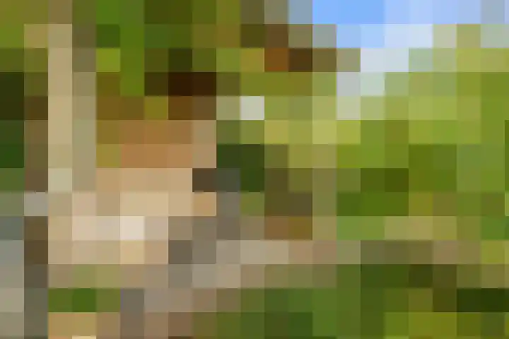 De Hilt 13 Abcoude thumbnail 32