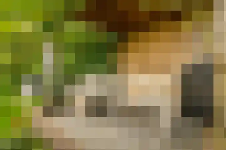 De Hilt 13 Abcoude thumbnail 34