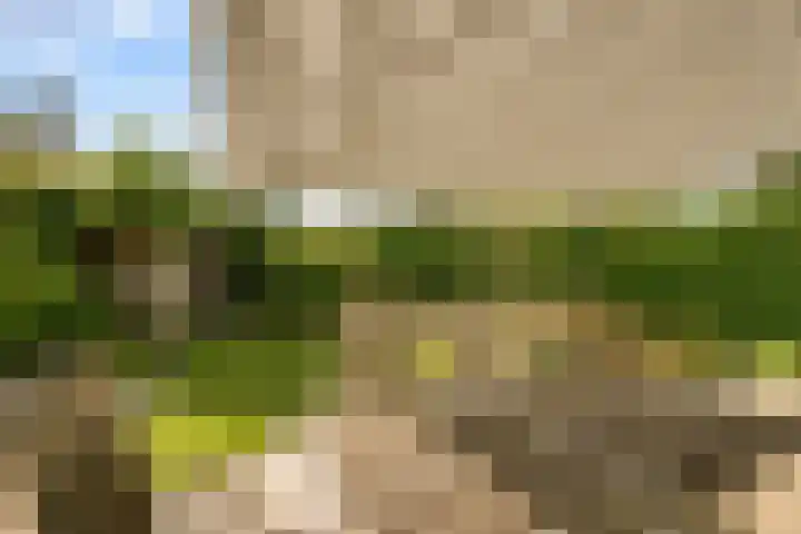 De Hilt 13 Abcoude thumbnail 35