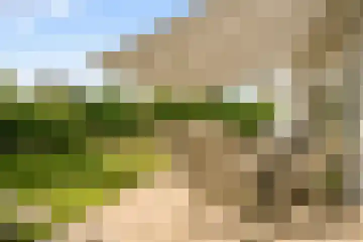 De Hilt 13 Abcoude thumbnail 37
