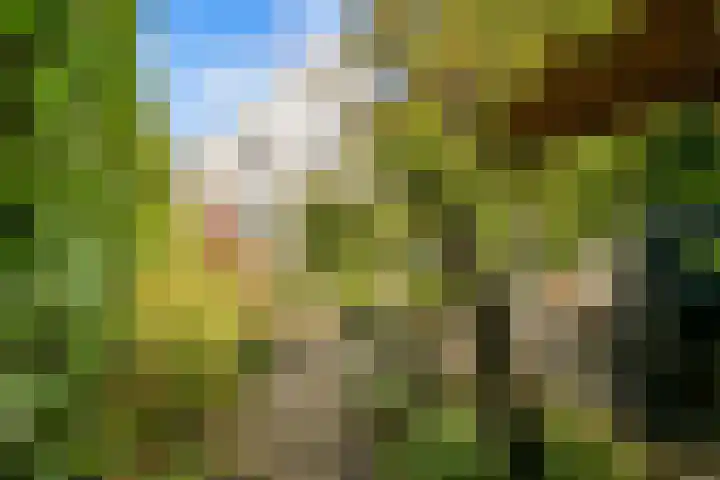 De Hilt 13 Abcoude thumbnail 38