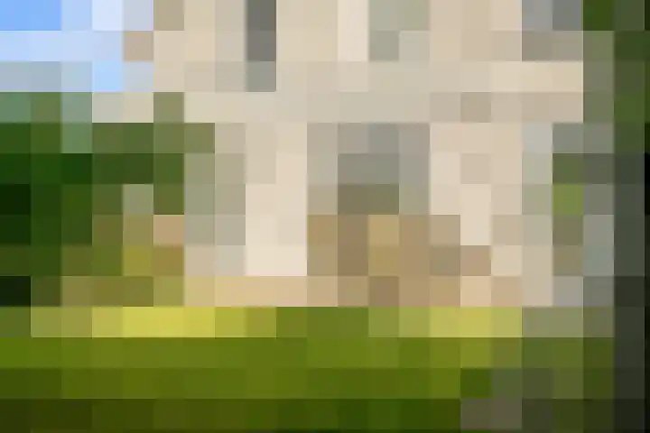 De Hilt 13 Abcoude thumbnail 39